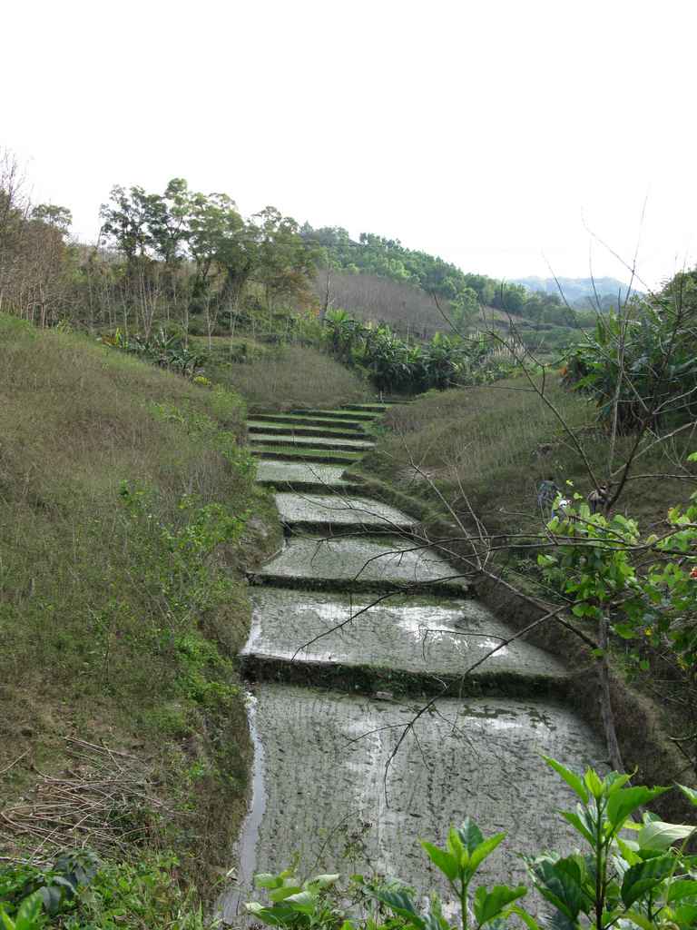 ��Ž�����