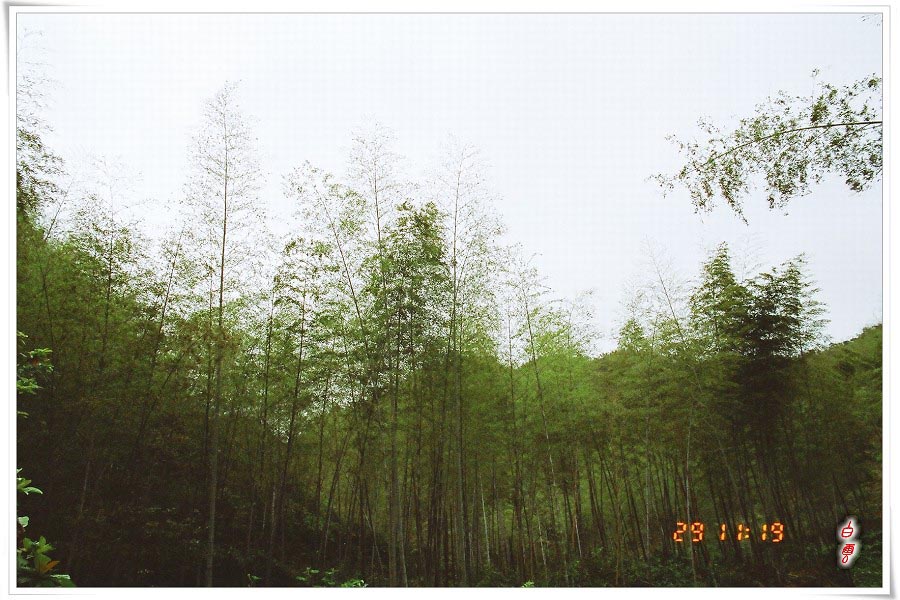 ����Ǵ���Ƭ������ɵ�