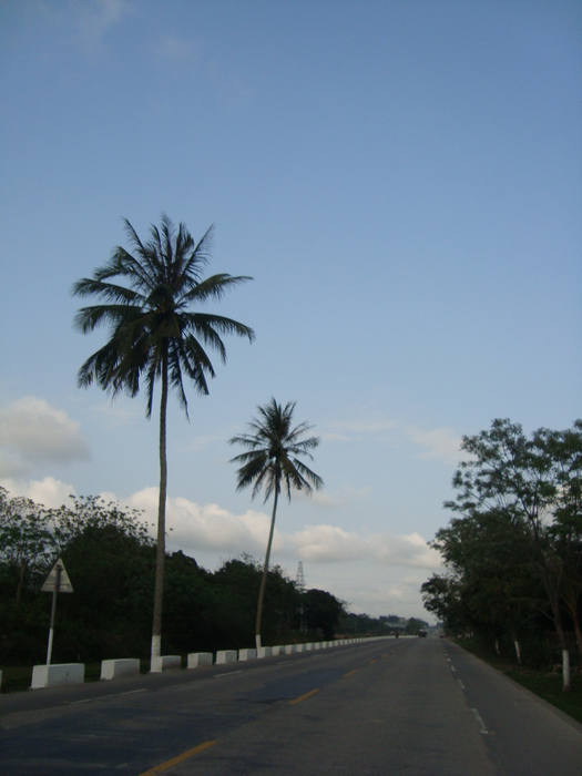 ���ϳ��� 324.JPG