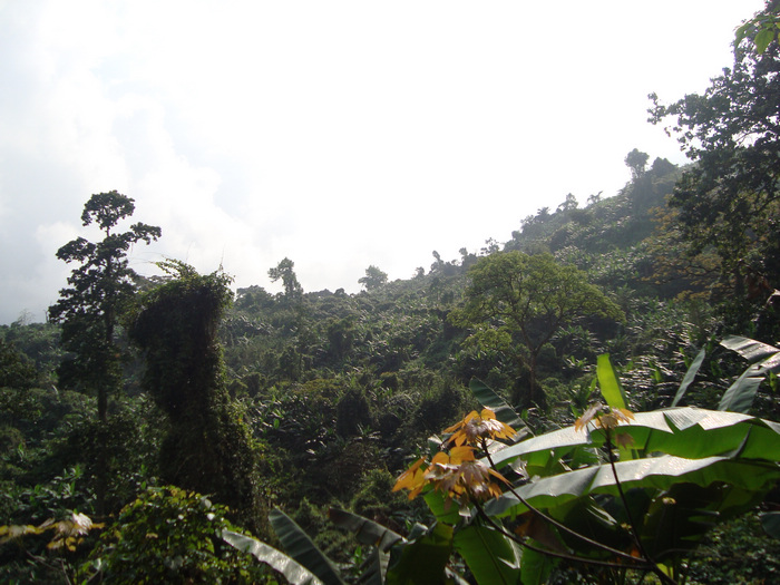 ���ϳ��� 298.JPG