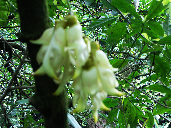 ���ضԽ����󣬺Ǻ�