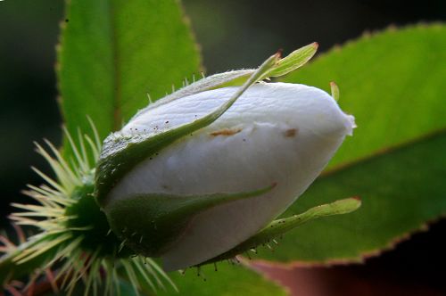 ���̵�õ��