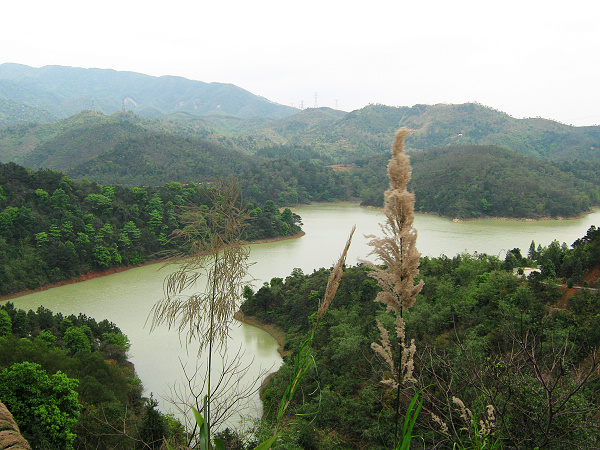 ����ˮ��