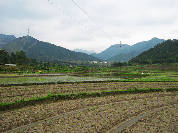 ����ˮ��