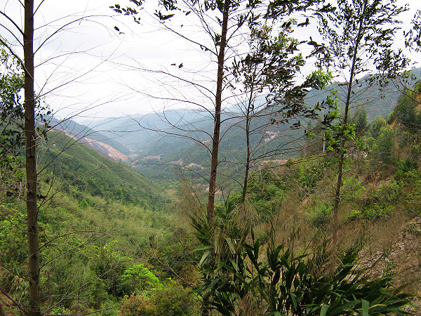 ������·