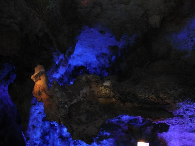 ��ȸ����