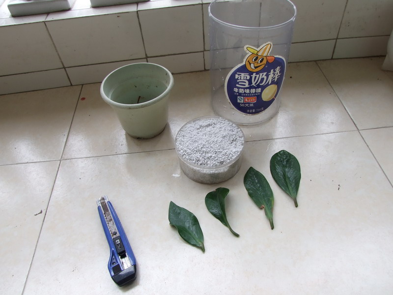 Ҷ���Ǯ�� 064.jpg