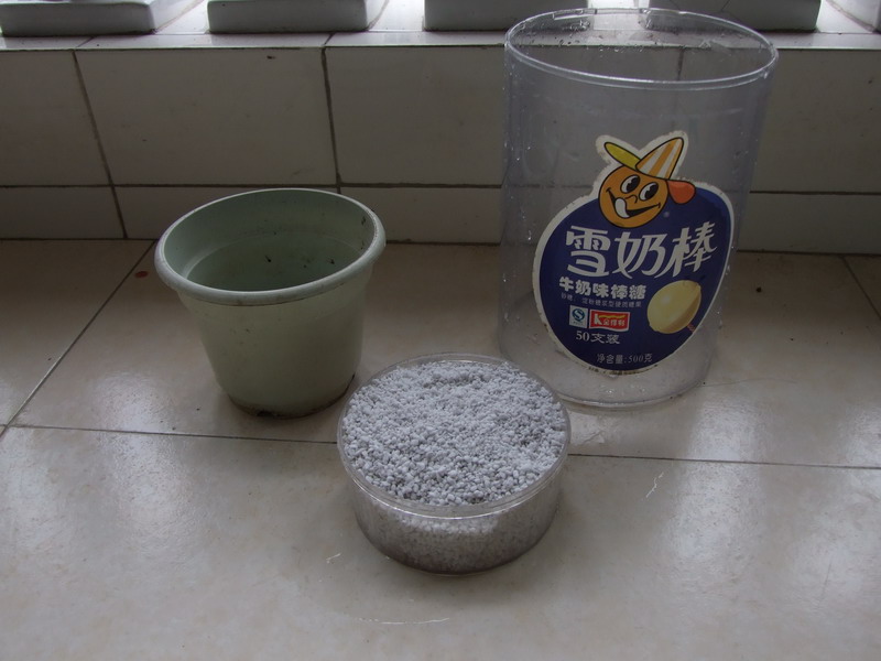 Ҷ���Ǯ�� 025.jpg