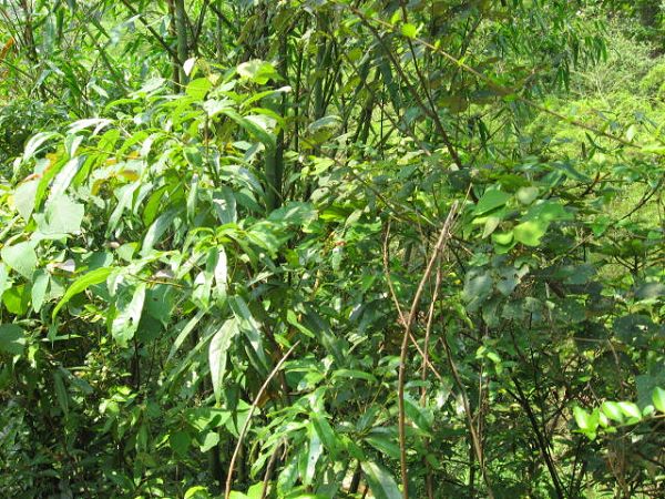 �����е��£����ҿ���̫����