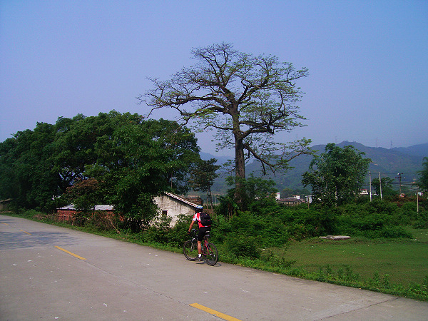 ������ɳ��;��