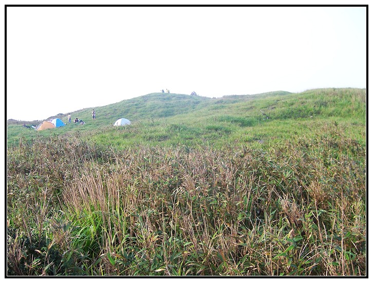 41 ʲô���Ҹ�����ʵ�ܼ򵥣����ڲݵ��Ͽ�������Ϧ��.jpg