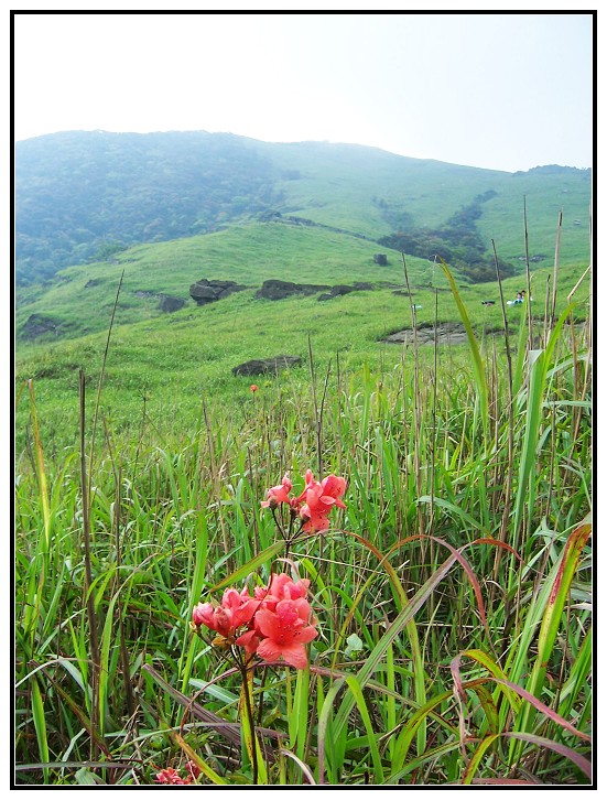 24 ��Ĩ������˵Ľ���.jpg