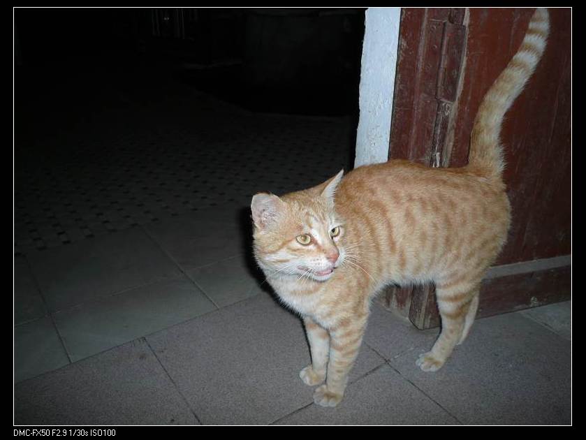 �ػ�Ħ�� 008.jpg