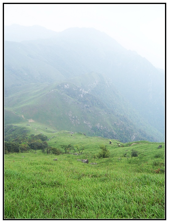 27 Զɽ��ãã�ݵ�.jpg