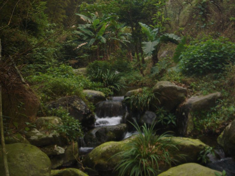 ��Ƭ����԰ 090.jpg