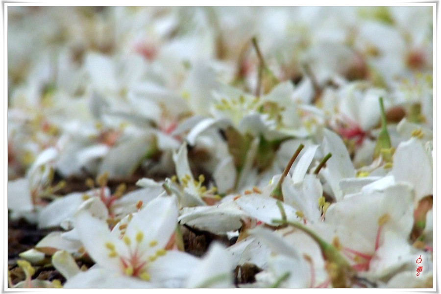 ����һ�ص���ͩ�����е�����