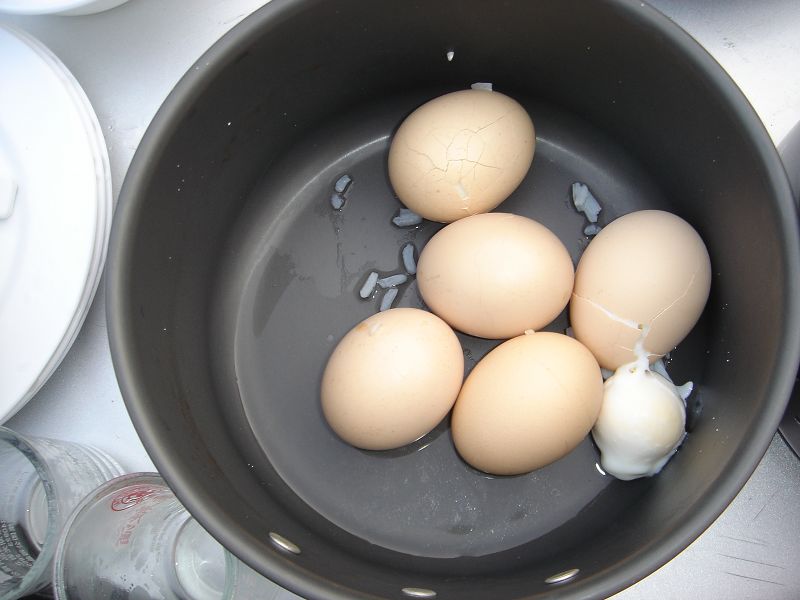 ��Ƭ����԰ 099.jpg