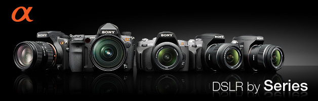 08104948-Sony-New-DSLR-01.jpg