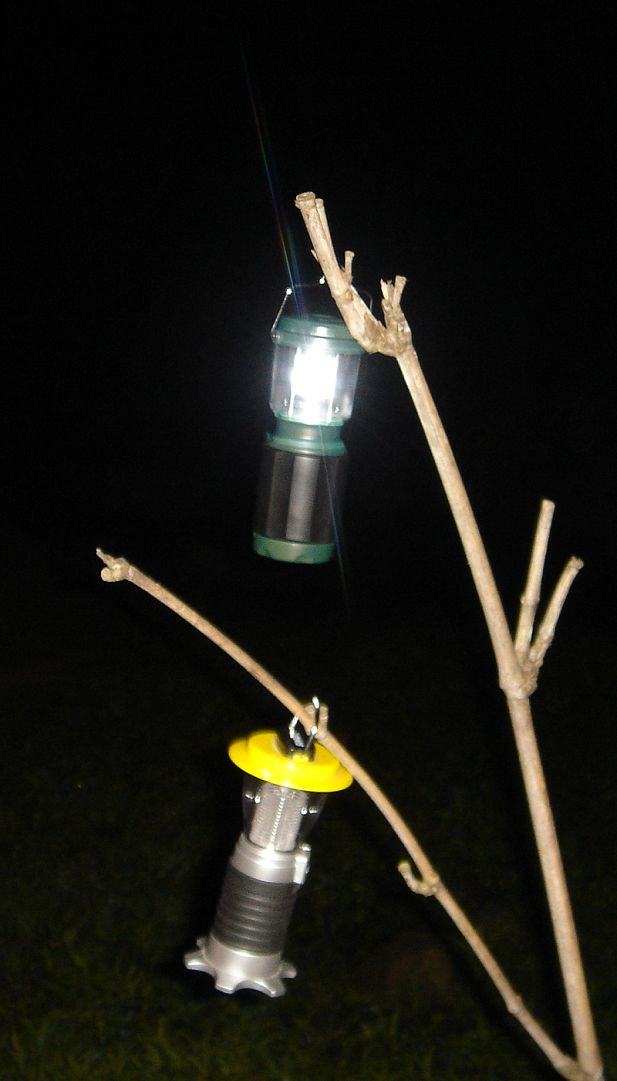 ��Ƭ����԰ 043.jpg