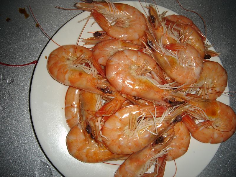 ��Ƭ����԰ 031.jpg