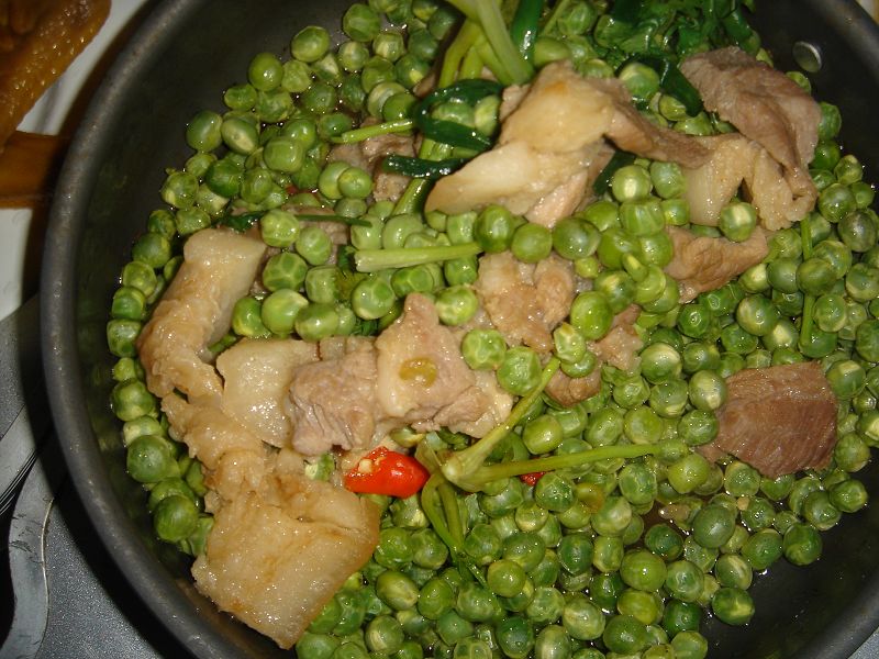 ��Ƭ����԰ 035.jpg