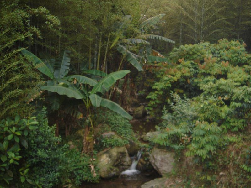 ��Ƭ����԰ 093.jpg