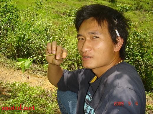 ��ҹ��¾�ϵ�߸���