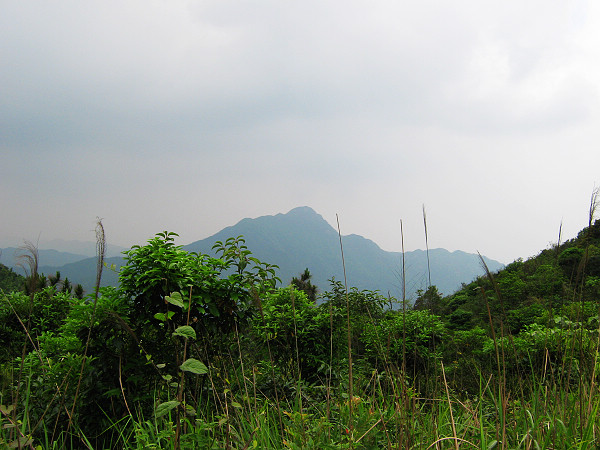 Զ����¥��