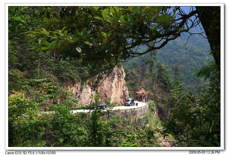 �����ڷ������