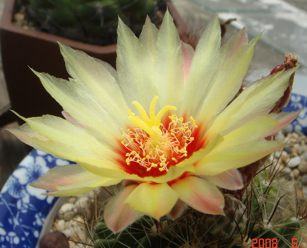 �ܺ���������