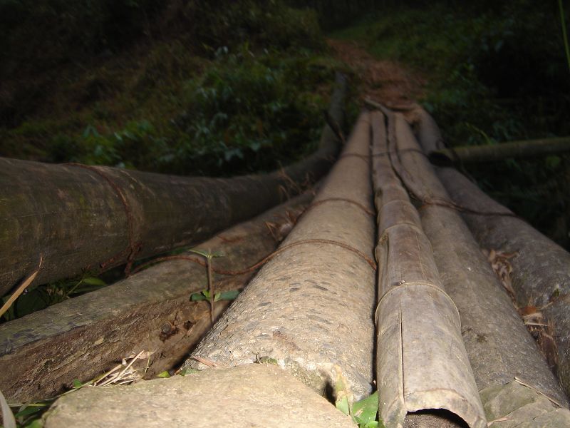 ��Ƭ����԰ 088.jpg