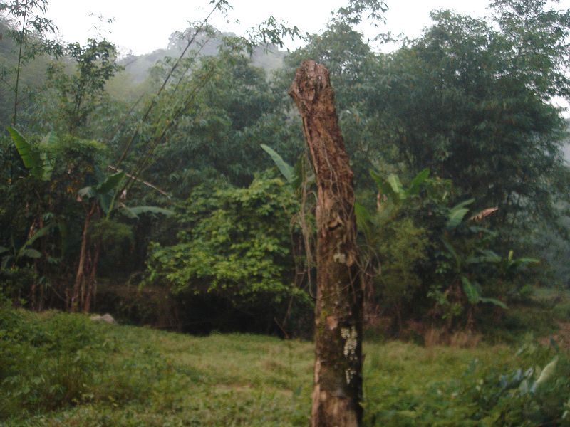 ��Ƭ����԰ 084.jpg