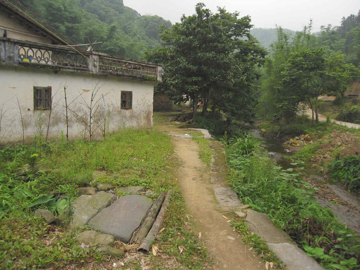 ����԰����