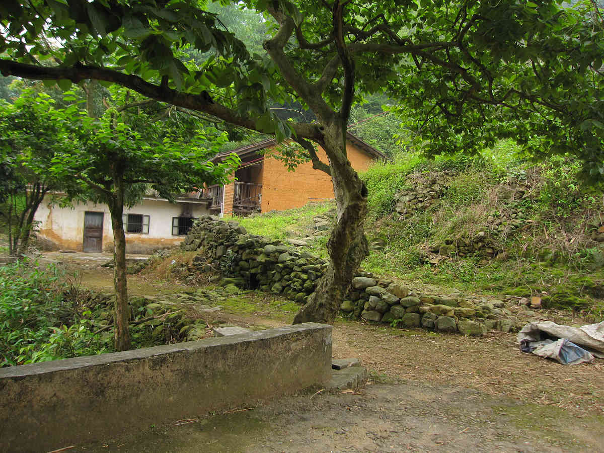 ����԰����