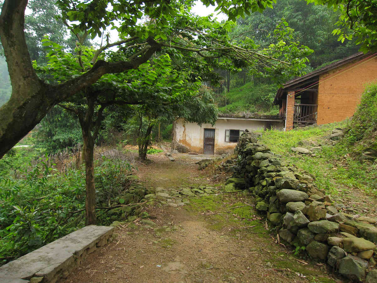 ����԰����