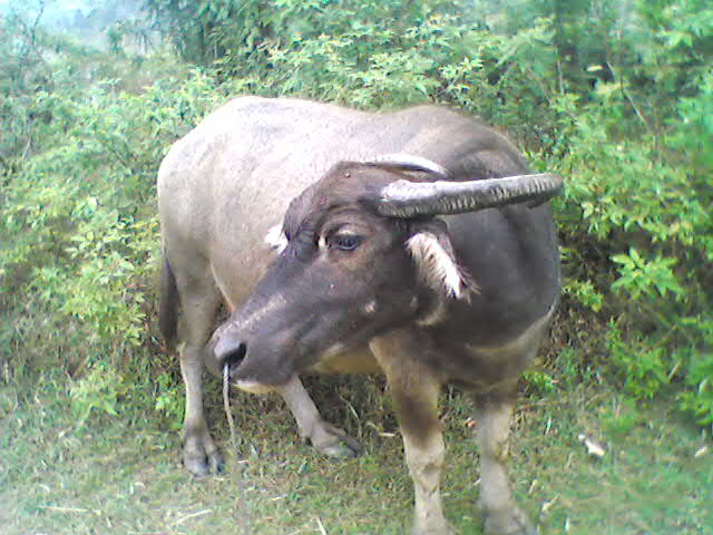 ��ͷһЦ�ٸ��ȷᡣ