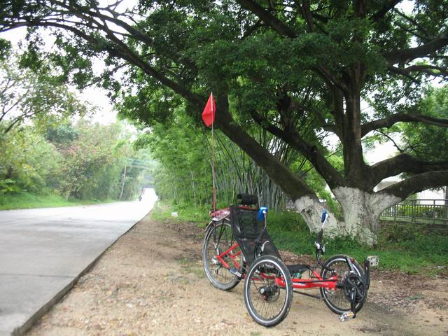 ������С IMG_7394.JPG