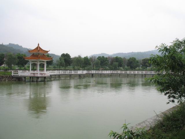 ������С IMG_7368.JPG