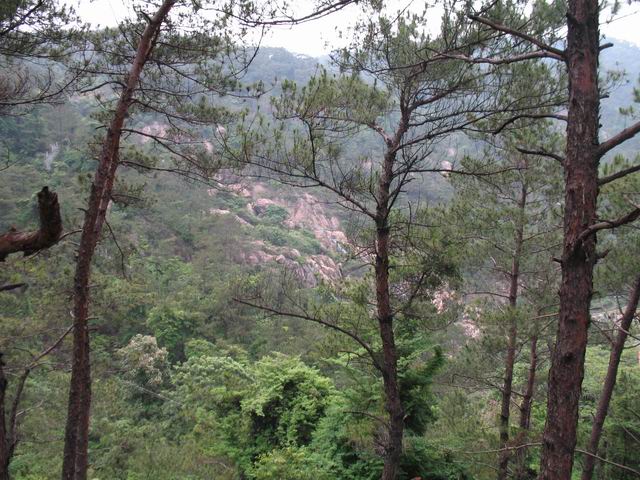 ������С IMG_7432.JPG