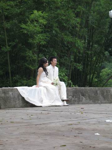 ������С IMG_7441.JPG