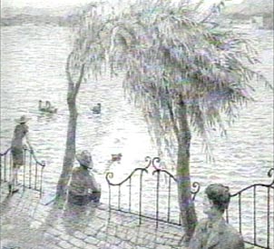 ʨ�������