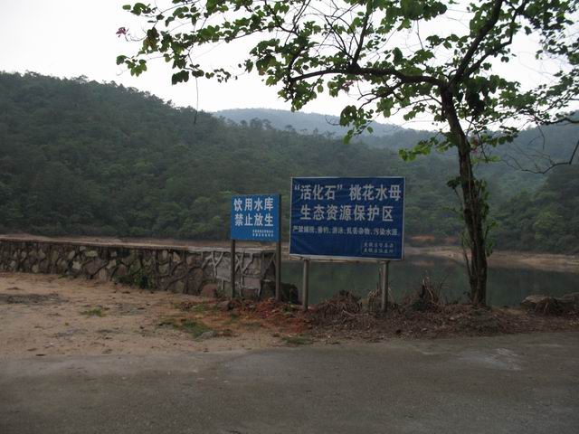 ������С IMG_7442.JPG