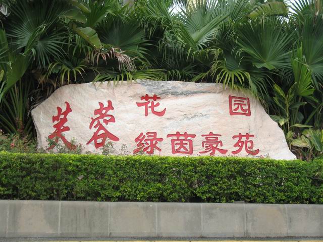 ������С IMG_7399.JPG