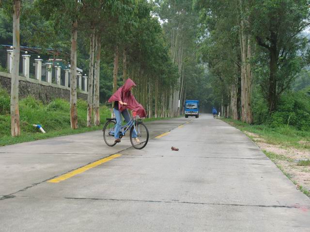 ������С IMG_7383.JPG