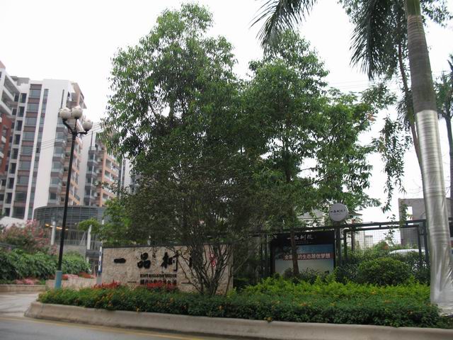 ������С IMG_7409.JPG