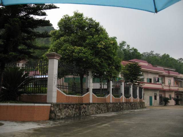 ������С IMG_7365.JPG