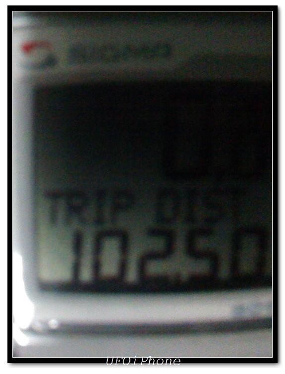 ������ʻ���