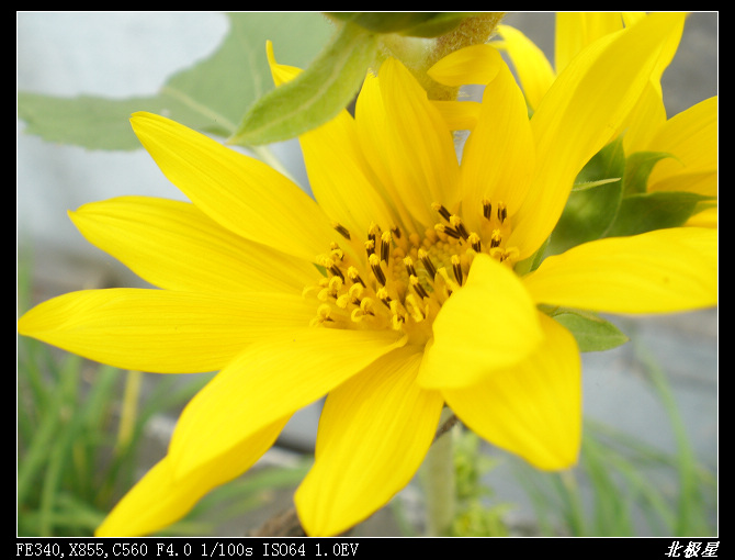 �е�ƣ��е㱬��