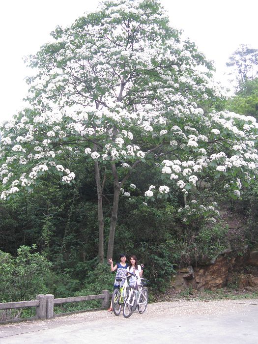 ����4��23���ĵ�