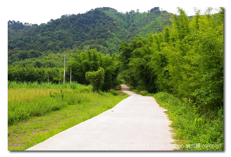 �����������������ô�����ֵ���